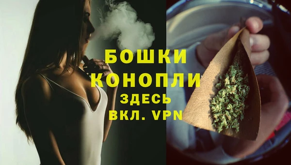 дживик Богородицк
