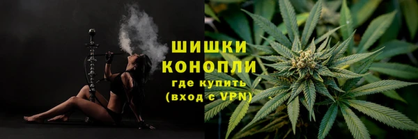 прущие грибы Верхний Тагил