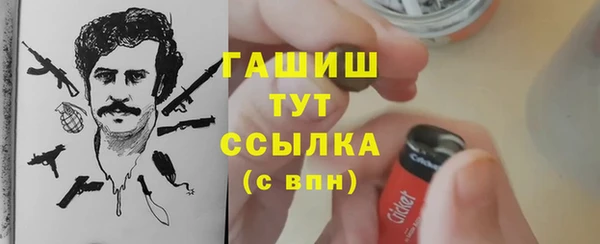 прущие грибы Верхний Тагил