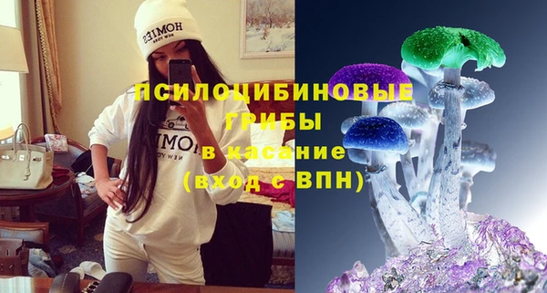 PSILOCYBIN Бронницы