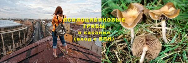 молекула духа Верея