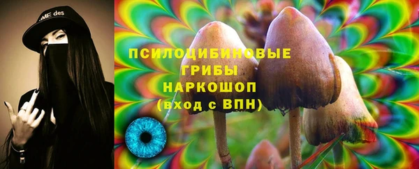 молекула духа Верея