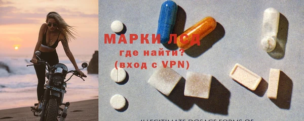 дживик Богородицк