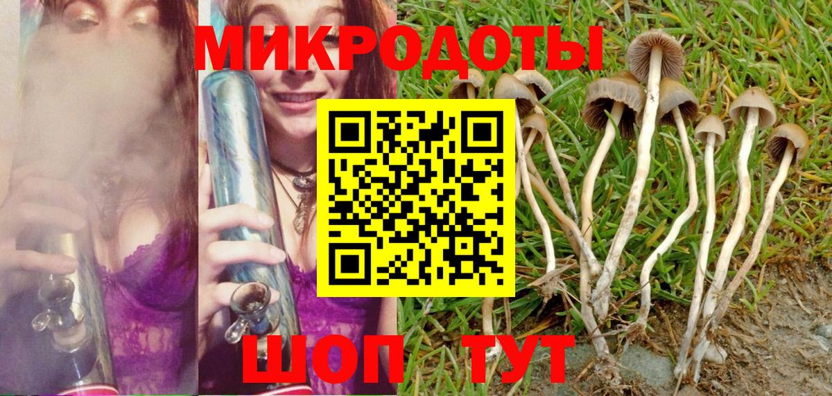 где продают   Псилоцибиновые грибы Magic Shrooms  Галлюциногенные грибы Magic Shrooms  Вход с VPN  Реж 